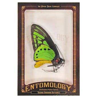 2011 Upper Deck Goodwin Champions #ENT14 Teueros Birdwing Butterfly Entomology