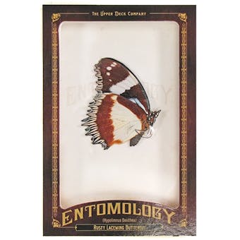 2011 Upper Deck Goodwin Champions #ENT22 Rusty Lace Wing Butterfly Entomology