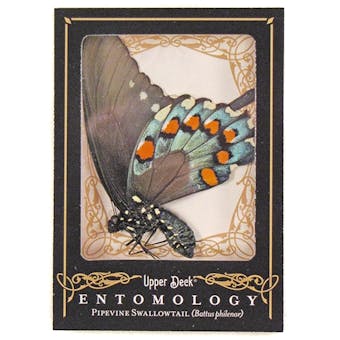 2009 Upper Deck Goodwin Champions #ENT13 Pipevine Swallowtail Entomology SP
