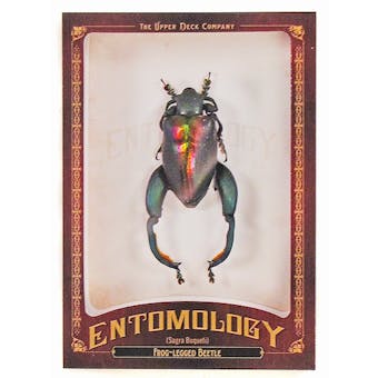 2011 Upper Deck Goodwin Champions #ENT1 Frog-Legged Beetle Entomology