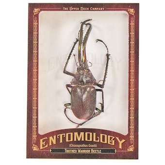 2011 Upper Deck Goodwin Champions #ENT7 Toothed Warrior Beetle Entomology