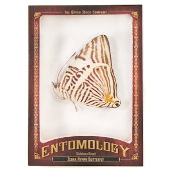 2011 Upper Deck Goodwin Champions #ENT9 Zebra Nymph Butterfly Entomology