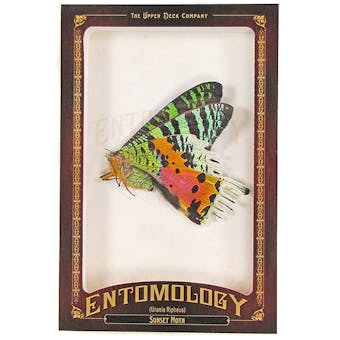 2011 Upper Deck Goodwin Champions #ENT25 Sunset Moth Entomology