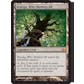 Magic the Gathering From the Vault FTV: Realms Gift Box
