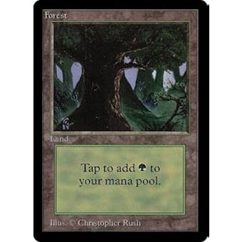 Magic the Gathering Beta Single Forest (Ver 3) - NEAR MINT (NM)