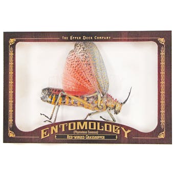 2011 Upper Deck Goodwin Champions #ENT15 Red Winged Grasshopper Entomology