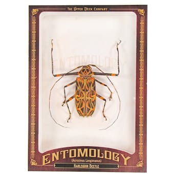 2011 Upper Deck Goodwin Champions #ENT28 Harlequin Beetle Entomology