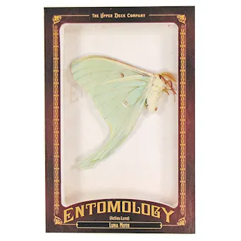2011 Upper Deck Goodwin Champions #ENT16 Luna Moth Entomology