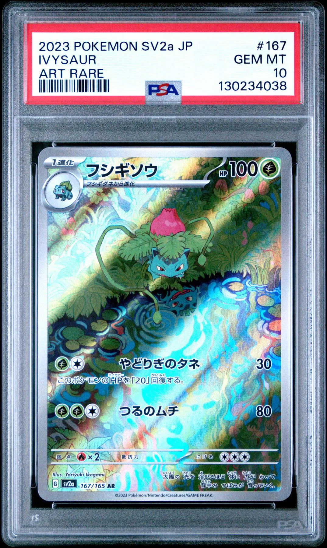 Pokemon 151 Japanese SV2a Ivysaur 167/165 PSA 10 GEM MINT | DA Card World Pokemon 151 Japanese SV2a Ivysaur 167/165 PSA 10 GEM MINT | DA Card World