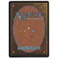 Magic the Gathering Beta Single Natural Selection - NEAR MINT (NM)