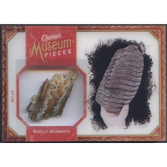 2009/10 Champ's Museum Pieces #MPWM Woolly Mammoth Molar