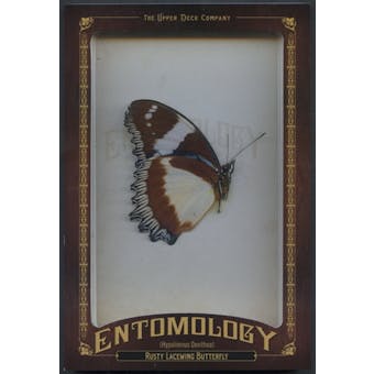 2011 Upper Deck Goodwin Champions Entomology #ENT22 Rusty Lace Wing Butterfly