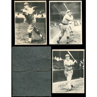 1929 Kashin Publications Baseball Starter Set (29 Different) (NM-MT)