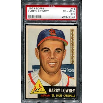 1953 Topps Baseball #16 Harry Lowery PSA 6.5 (EX-MT+) *5133