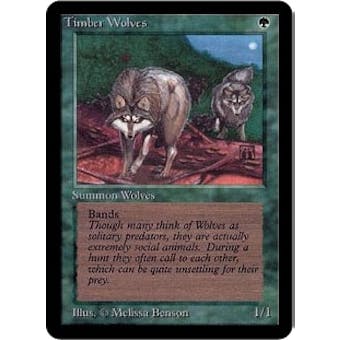 Magic the Gathering Alpha Single Timber Wolves - NEAR MINT (NM)