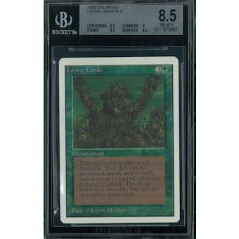 Magic the Gathering Unlimited Living Lands BGS 8.5 (8.5, 9, 8.5, 8.5)