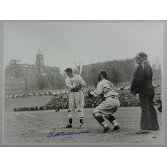 Ted Williams Red Sox Autographed 16x20 Photo PSA/DNA D57437 (Reed Buy)