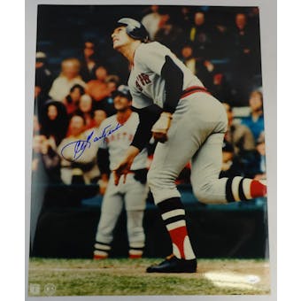 Carl Yastrzemski Boston Red Sox Autographed 16x20 Photo JSA RR77075 (Reed Buy)