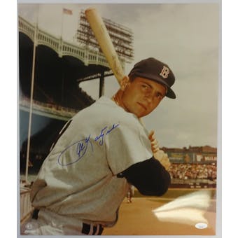 Carl Yastrzemski Boston Red Sox Autographed 16x20 Photo JSA RR77062 (Reed Buy)