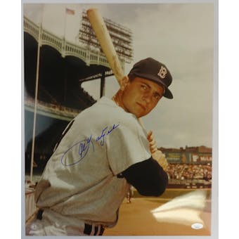Carl Yastrzemski Boston Red Sox Autographed 16x20 Photo JSA RR77061 (Reed Buy)