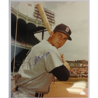 Carl Yastrzemski Boston Red Sox Autographed 16x20 Photo JSA RR77060 (Reed Buy)