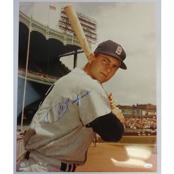 Carl Yastrzemski Boston Red Sox Autographed 16x20 Photo JSA  RR77059 (Reed Buy)