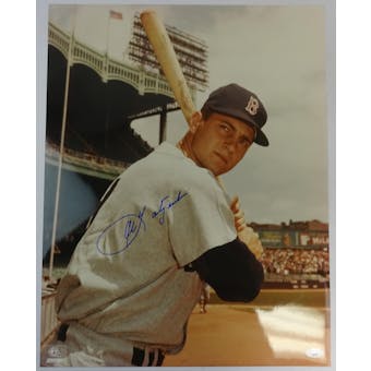 Carl Yastrzemski Boston Red Sox Autographed 16x20 Photo JSA RR77057 (Reed Buy)