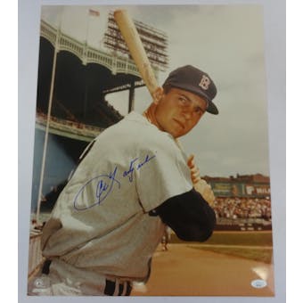 Carl Yastrzemski Boston Red Sox Autographed 16x20 Photo JSA RR77055 (Reed Buy)