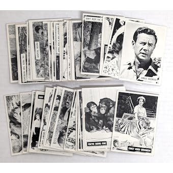 1966 Philadelphia Daktari Near Complete Set (64/66) (NM) (Reed Buy)