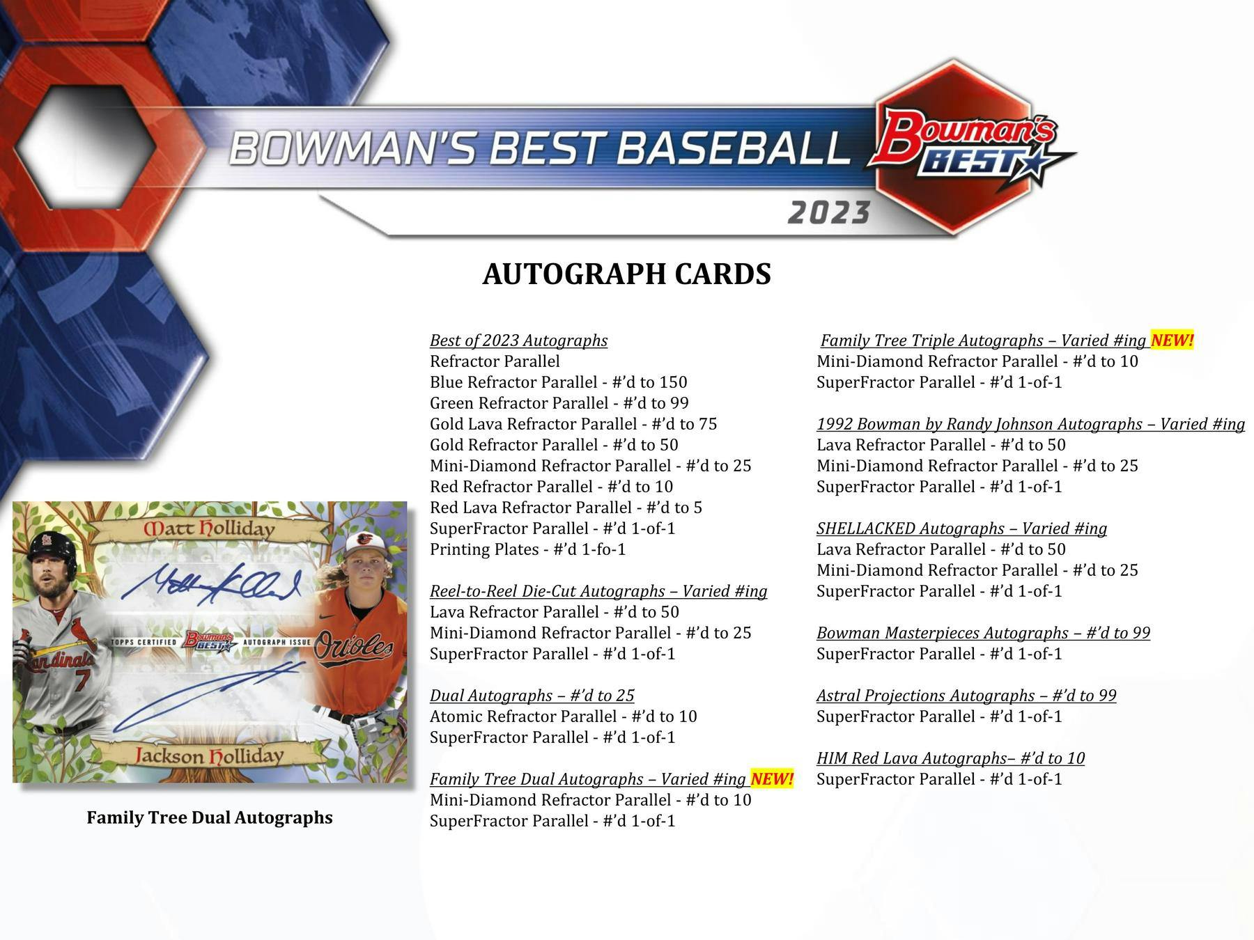 2023 Bowman's Best Baseball Hobby 8 Box Case