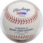 Bernie Williams Autographed OML Selig Baseball w/insc PSA/DNA U24839 (Reed Buy)