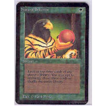 Magic the Gathering Alpha Single Natural Selection - NEAR MINT (NM)