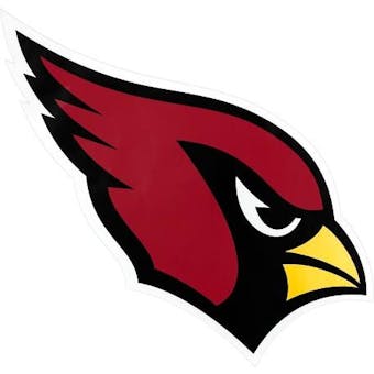 Arizona Cardinals Officially Licensed NFL Apparel Liquidation - 260+ Items, $8,600+ SRP!