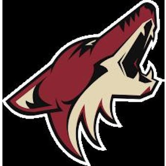 Arizona Coyotes Officially Licensed NHL Apparel Liquidation - 150+ Items, $8,200+ SRP!