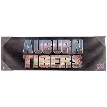 Auburn Tigers Artissimo Team Pride 30x10 Canvas