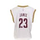 2022 Hit Parade Autographed National Exclusive Edition Basketball Jersey - Hobby Box - Lebron, Luka & Giannis!