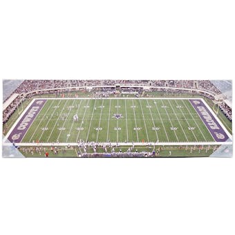 Dallas Cowboys Artissimo 30x10 Panoramic AT&T Stadium Plaque
