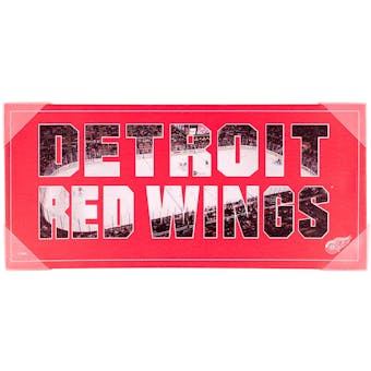 Detroit Red Wings Artissimo Color Pride 12x26 Canvas