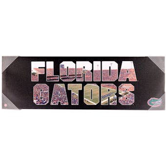 Florida Gators Artissimo Team Pride 10x30 Canvas