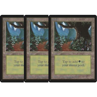 Magic the Gathering Beta 3x LOT Forest (Trail) x3 LIGHTLY/MODERATELY PLAYED (LP/MP)