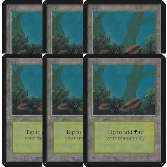 Magic the Gathering Alpha Basics LOT 6x Forest (blue) - MODERATE PLAY (MP)
