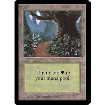 Magic the Gathering Beta Single Forest (Ver 2) - HEAVY PLAY (HP)