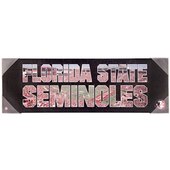 Florida State Seminoles Artissimo Team Pride 30x10 Canvas