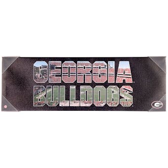 Georgia Bulldogs Artissimo Team Pride 10x30 Canvas