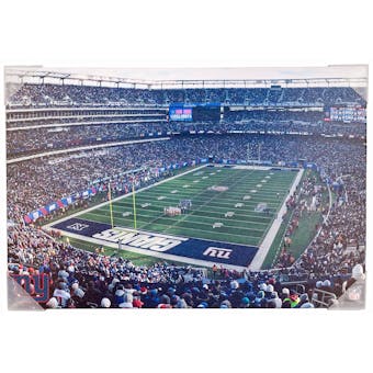 New York Giants MetLife Stadium 22x33 Artissimo