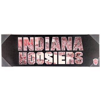 Indiana Hoosiers Artissimo Team Pride 10x30 Canvas