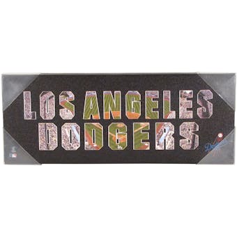 Los Angeles Dodgers Artissimo Team Pride 20x8 Canvas