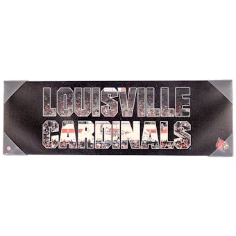Louisville Cardinals Artissimo Team Pride 30x10 Canvas