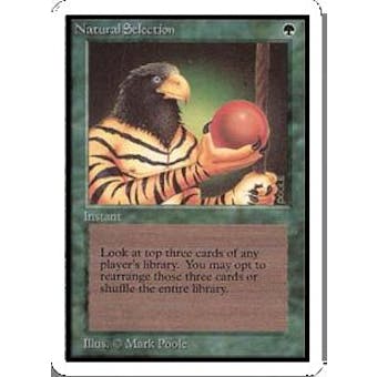Magic the Gathering Unlimited Single Natural Selection - NEAR MINT (NM)