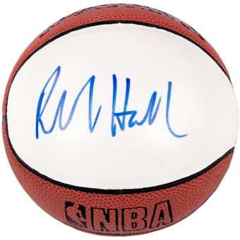 Richard Hamilton Autographed Detroit Pistons Mini Spalding Basketball (Press Pass)